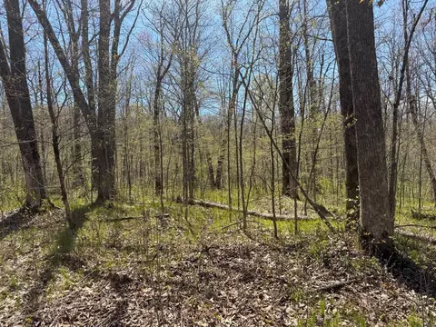 n10439 Tranus Lake Road, Springbrook, WI 54875 photo 37