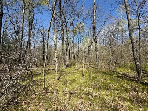 n10439 Tranus Lake Road, Springbrook, WI 54875 photo 17