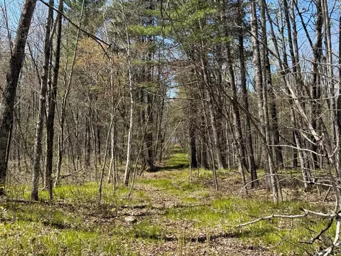 n10439 Tranus Lake Road, Springbrook, WI 54875 photo 14