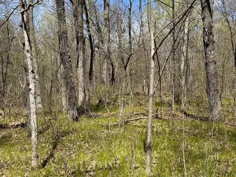 n10439 Tranus Lake Road, Springbrook, WI 54875 photo 16