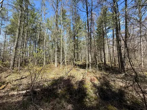 n10439 Tranus Lake Road, Springbrook, WI 54875 photo 23