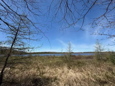 n10439 Tranus Lake Road, Springbrook, WI 54875 photo 30