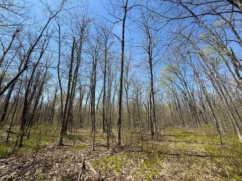 n10439 Tranus Lake Road, Springbrook, WI 54875 photo 11