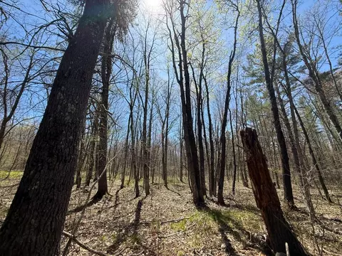 n10439 Tranus Lake Road, Springbrook, WI 54875 photo 33