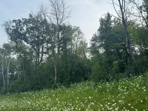 6167 Lake Dr, Prior Lake, MN 55372