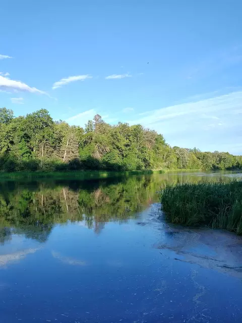 tbd County Rd 14, Nimrod, MN 56478
