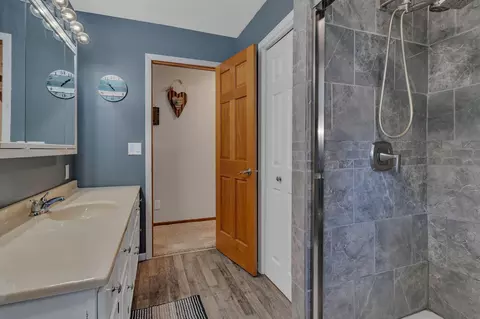 Bath - 608 E Ash Ave, Olivia, MN 56277 photo 2 of 3