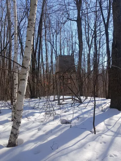 tbd Bear Rd, Cushing, MN 56443 photo 26