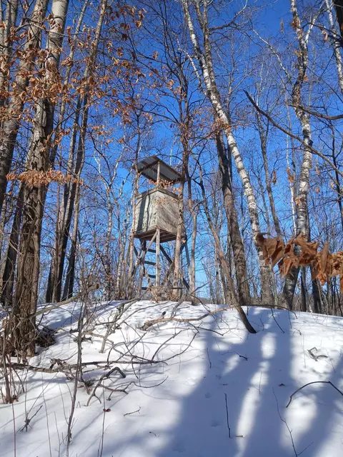 tbd Bear Rd, Cushing, MN 56443 photo 10
