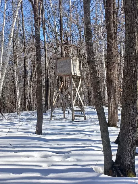 tbd Bear Rd, Cushing, MN 56443 photo 4