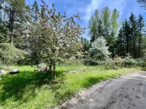 Exterior - 1206 E Ottum Ave, Bigfork, MN 56628 photo 3 of 11