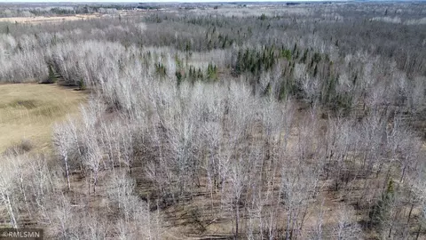 Other - 41254 155th Pl, Mcgregor, MN 55760 photo 32 of 40