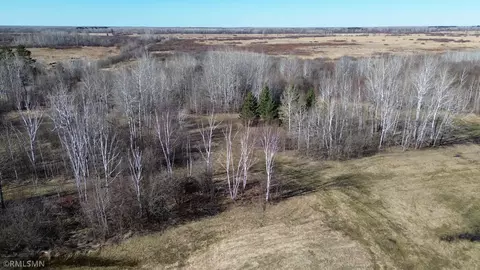 Other - 41254 155th Pl, Mcgregor, MN 55760 photo 17 of 40