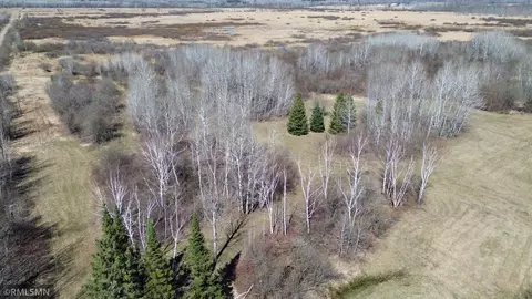 Other - 41254 155th Pl, Mcgregor, MN 55760 photo 31 of 40
