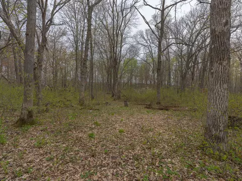 tbd Destiny Dr, Garrison, MN 56450 photo 2