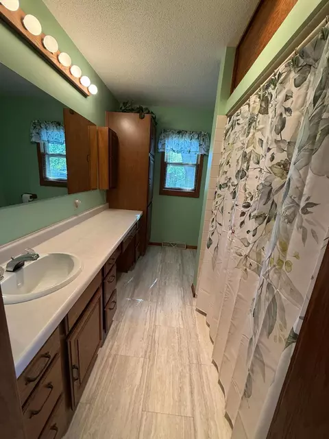 Bath - 209 S Spring Ave, Springfield, MN 56087 photo 1 of 2
