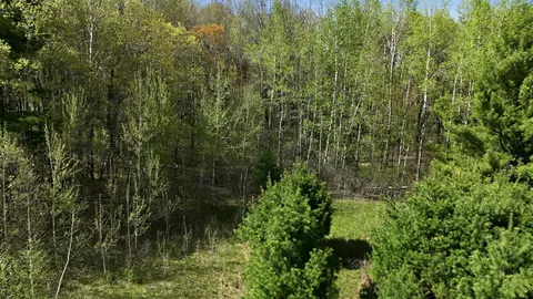 3 49 Acres 10th Ave, Chetek, WI 54728 photo 7