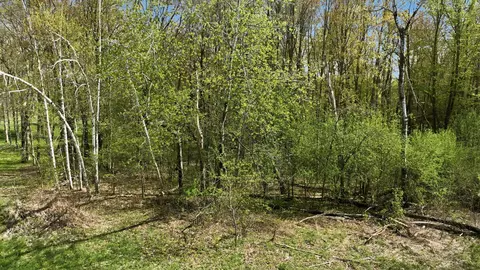 3 49 Acres 10th Ave, Chetek, WI 54728 photo 15