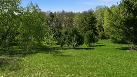 3 49 Acres 10th Ave, Chetek, WI 54728 photo 4