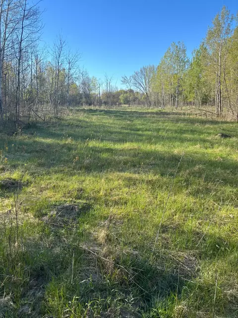 tbd Florence Trl, Milaca, MN 56353 photo 23