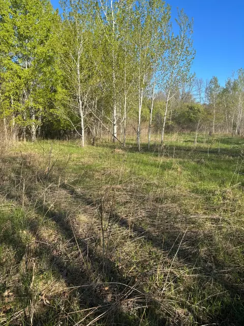 tbd Florence Trl, Milaca, MN 56353 photo 21