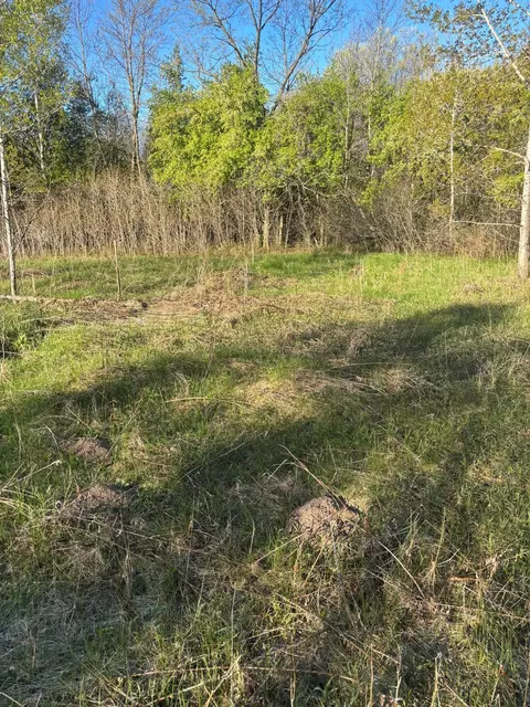 tbd Florence Trl, Milaca, MN 56353 photo 22