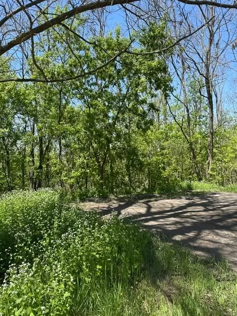 Nnn S Adams Street, Saint Croix Falls, WI 54024