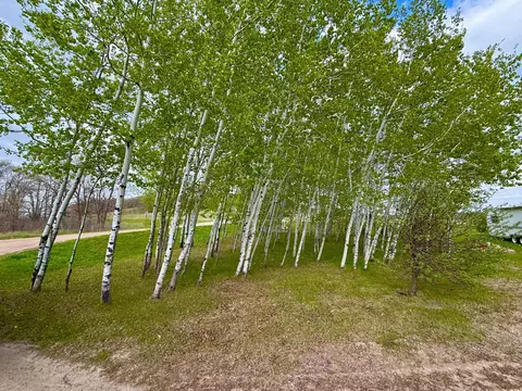 41970 400th St, Perham, MN 56573 photo 53