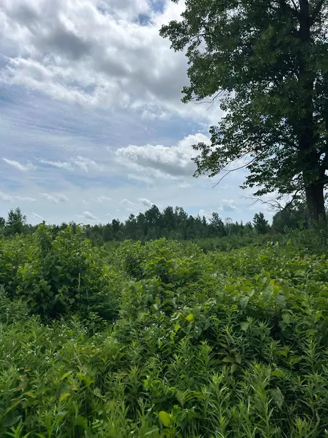 tbd 1 Duncan Rd, Sandstone, MN 55072