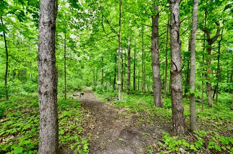 Other - 30300 County 1, Spring Valley, MN 55975 photo 11 of 13