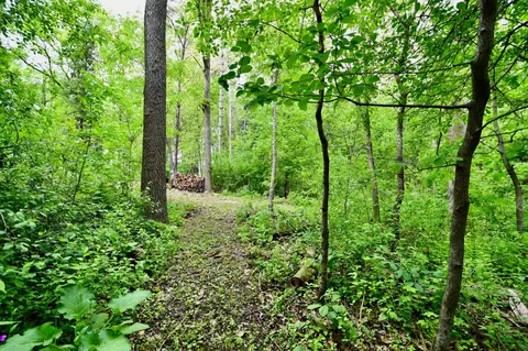 Exterior - 30300 County 1, Spring Valley, MN 55975 photo 16 of 17