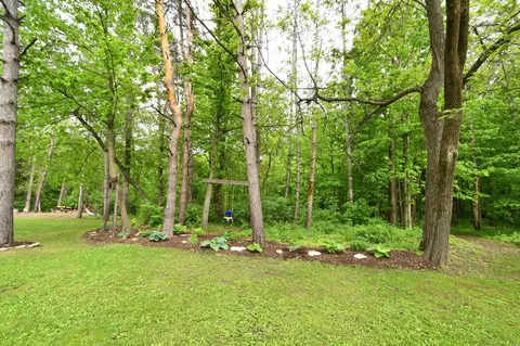 Exterior - 30300 County 1, Spring Valley, MN 55975 photo 14 of 17