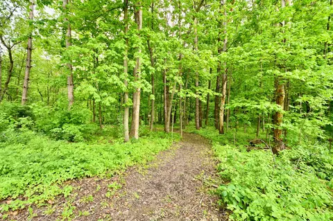 Other - 30300 County 1, Spring Valley, MN 55975 photo 10 of 13