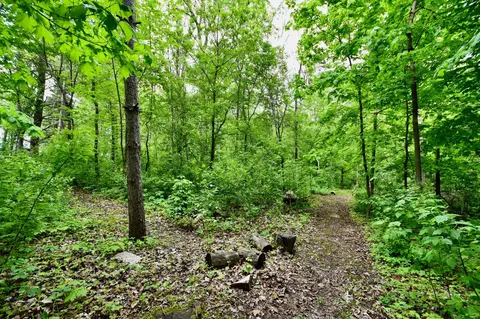 Exterior - 30300 County 1, Spring Valley, MN 55975 photo 15 of 17