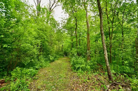 Other - 30300 County 1, Spring Valley, MN 55975 photo 12 of 13