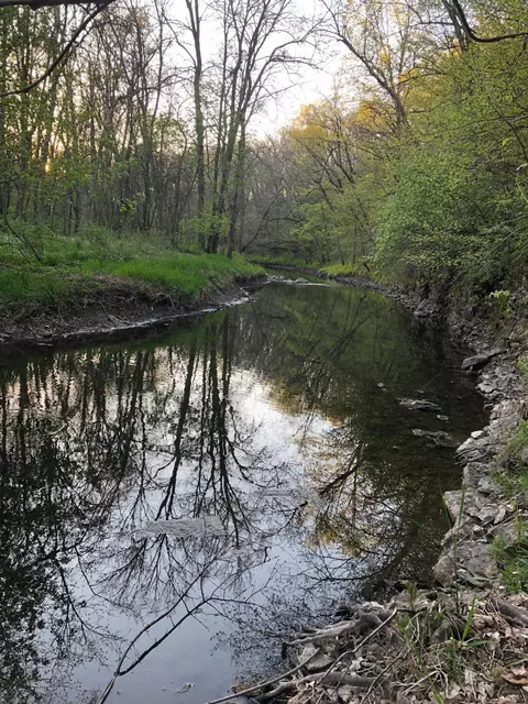 View/Area - 30300 County 1, Spring Valley, MN 55975 photo 1 of 1