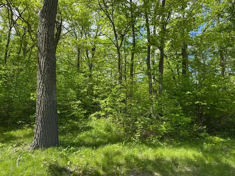 0 Captive Lake Rd, Kathio Twp, MN 56450 photo 9