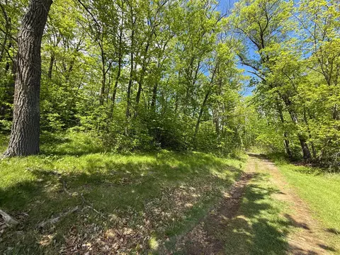 0 Captive Lake Rd, Kathio Twp, MN 56450 photo 8