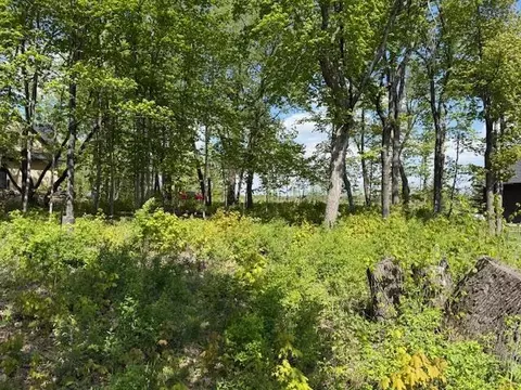 tbd Lot 13 Blk 2 Pilgrim Point Shroes, Alexandria, MN 56308