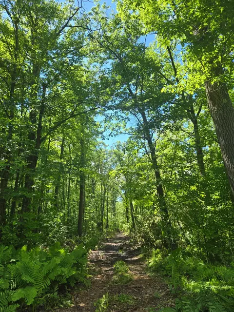 tbd Marsh Rd, Milaca, MN 56353 photo 12