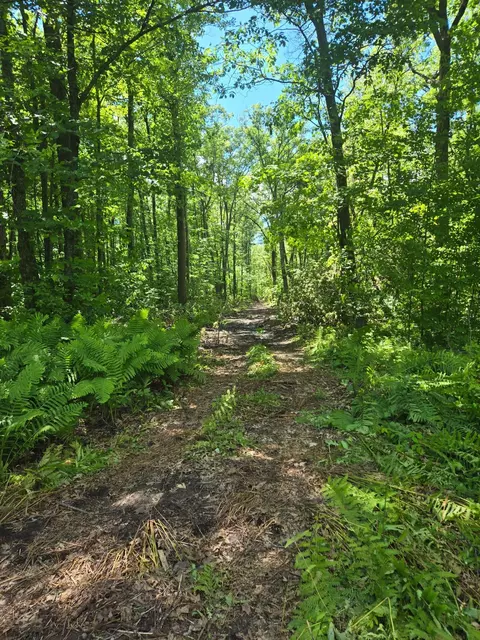 tbd Marsh Rd, Milaca, MN 56353 photo 11