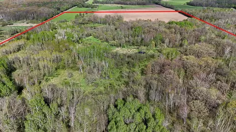 tbd 135th St NE, Foreston, MN 56330 photo 6