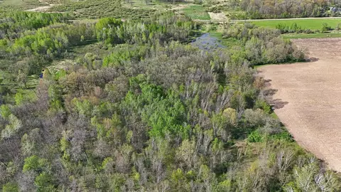 tbd 135th St NE, Foreston, MN 56330 photo 15
