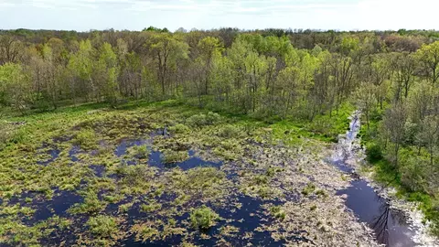 tbd 135th St NE, Foreston, MN 56330 photo 18