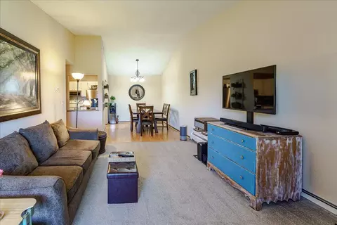 Living - 3440 Golfview Dr #315, Eagan, MN 55123 photo 3 of 3