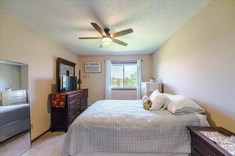 Bedroom - 3440 Golfview Dr #315, Eagan, MN 55123 photo 2 of 3