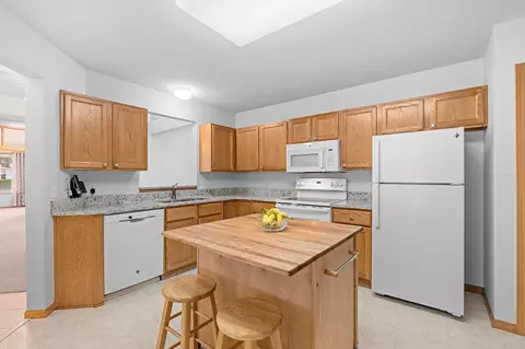 9120 Prairieview Ln N, Champlin, MN 55316 photo 12