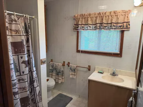 Bath - 35192 Moccasin Trl, Cushing, MN 56443 photo 1 of 1