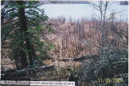 5 Nnnn Moose Bay Trl, Northome, MN 56661