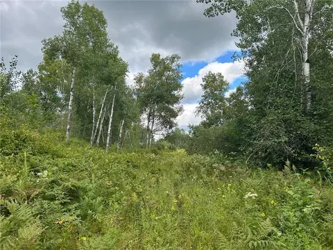 tbd 2 Duncan Rd, Sandstone, MN 55072 photo 6